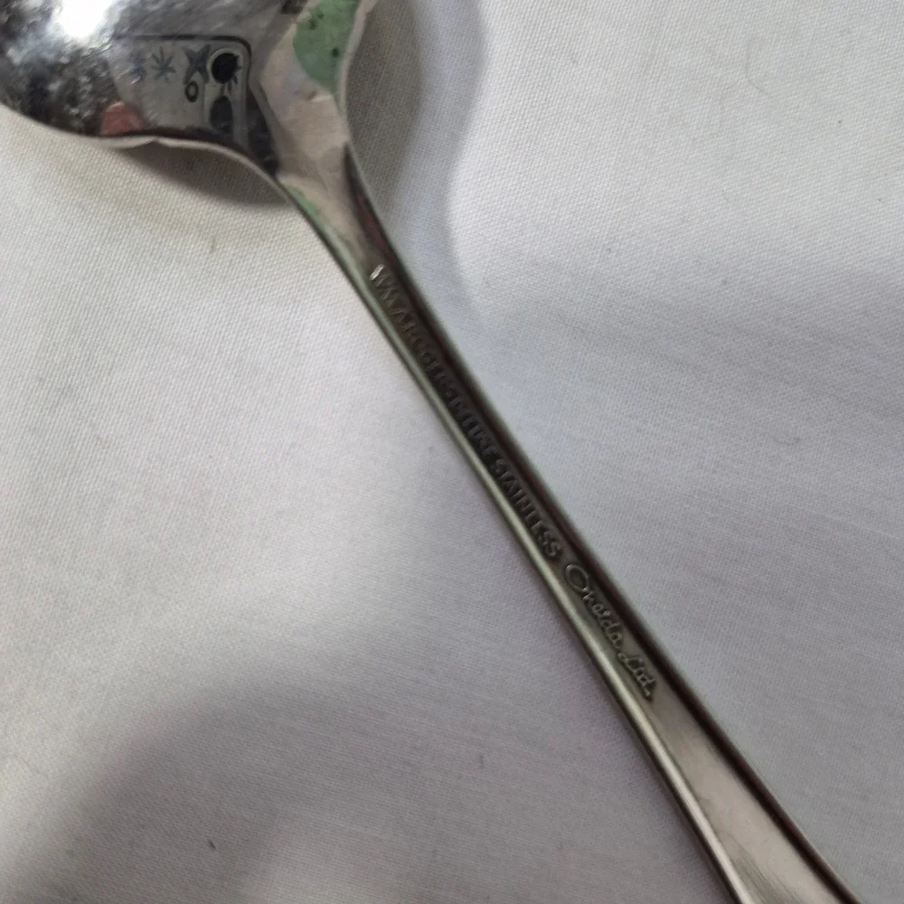 Sugar Spoon Oneida Wm A Rogers Deluxe Stainless Spoon Summer Mist Autumn Glow
